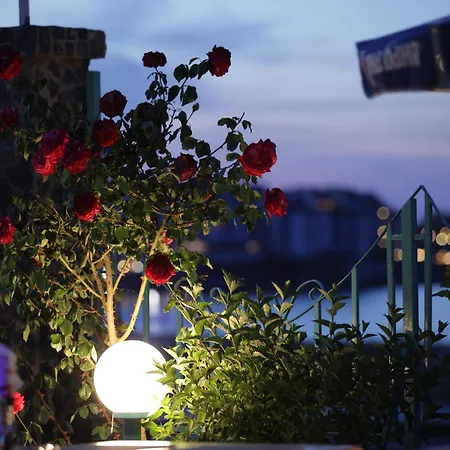 Hotel Lozite 3*